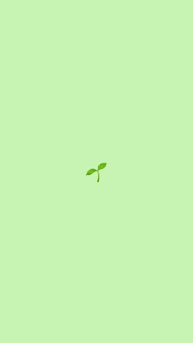 Download A refreshing look of mint leaves swaying on the beach. Wallpapers.com