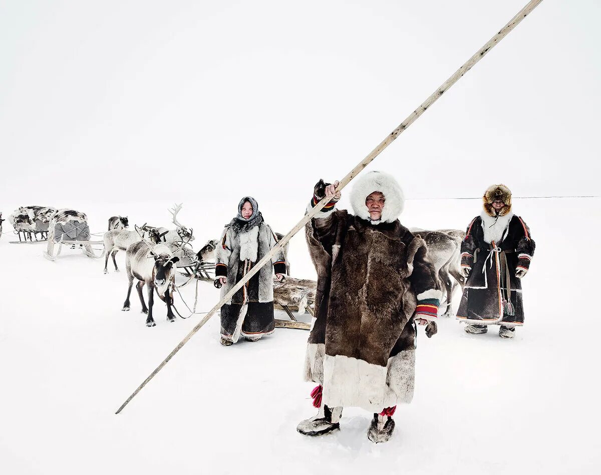 Население ненцев. Джимми Нельсон Ненец. Коренные малочисленные народы ненцы. Народы севера ненцы. Сибирские ненцы.