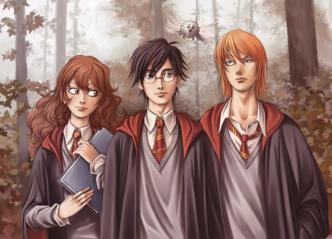 Harry potter go