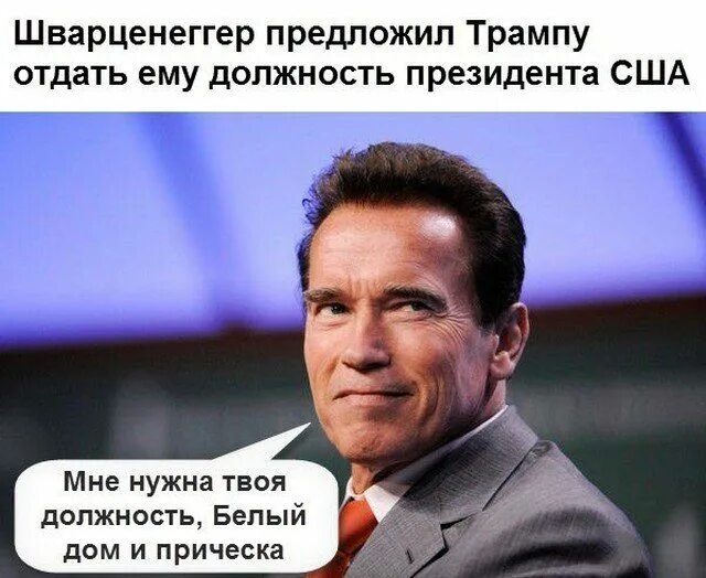 арнольд шварценеггер оставайся голодным. Arnold schwarzenegger легенда. арнольд шварценеггер и невский. шварценеггер мем. приколы про арнольда шварценеггера.