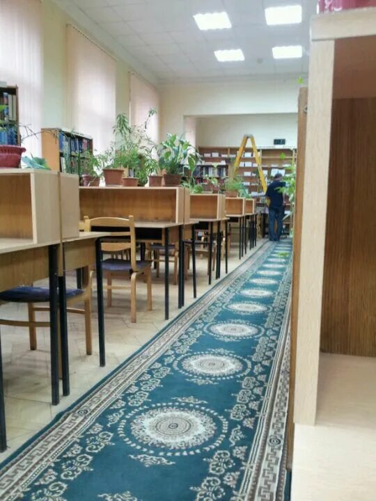 Библиотечные книжки. Библиотека бен ран. Библиотека по естественным наукам ран. Современная библиотека. Библиотека по естественным наукам ран.