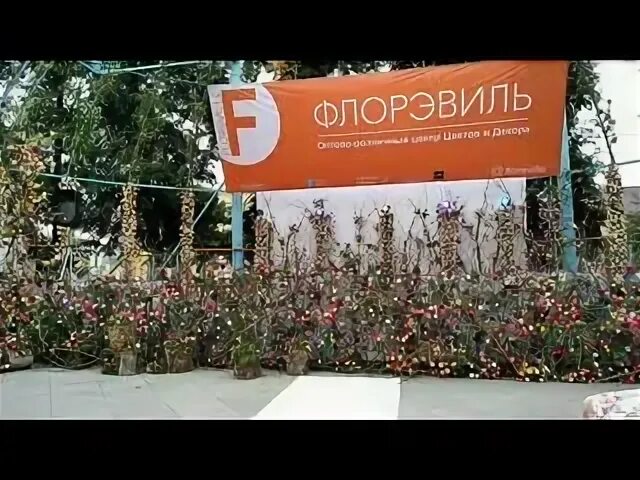 Флорэвиль москва. Флористика Коломна. Цветочная база в Бирюлево. Флорвиль. ФЛОРЭВИЛЬ Тула.