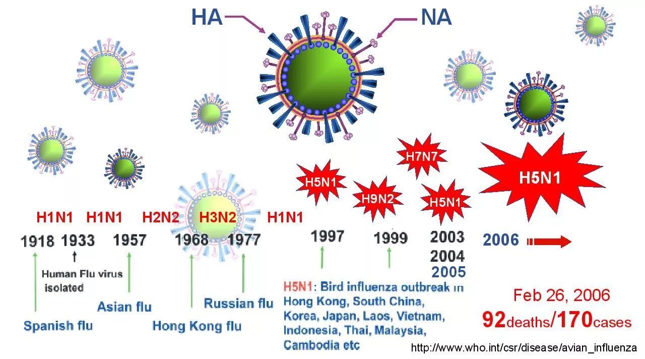 Грипп h5n1. Вирус h5n1. Птичий грипп h1n1. Вирус гриппа h1n2. Грипп номер 1