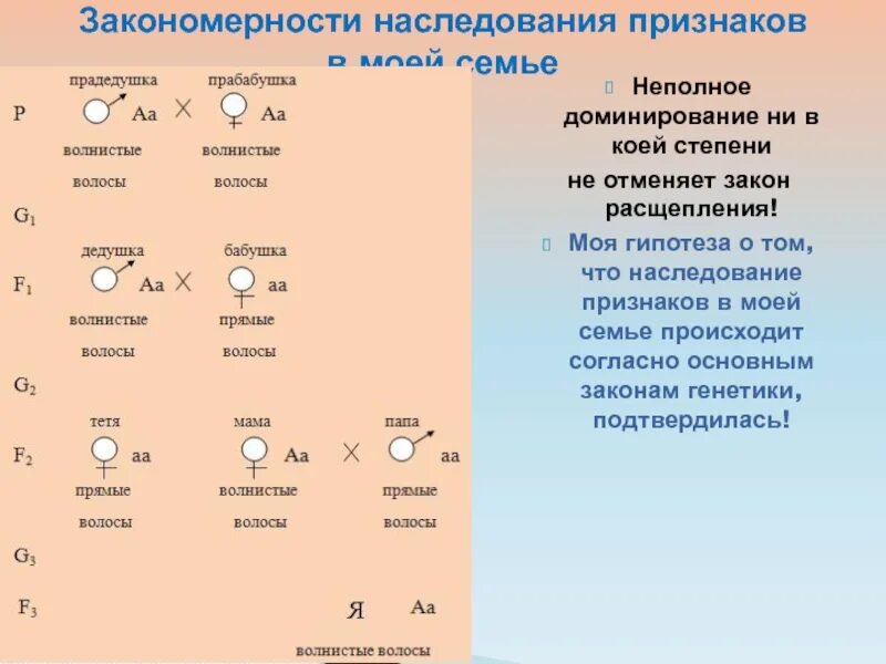 Неполное доминирование признаков у человека. Неполное доминирование признаков у человека