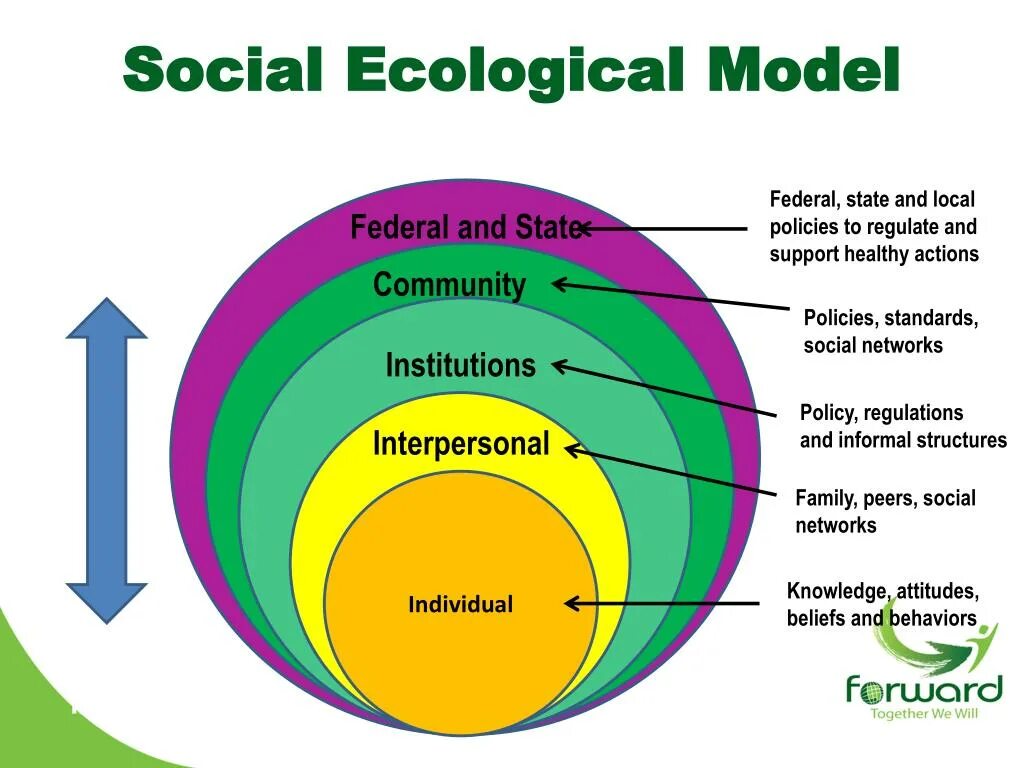 Ecological Issues. Ecological Challenges. Ecological problems what causes таблица. Кластер ecological problems.