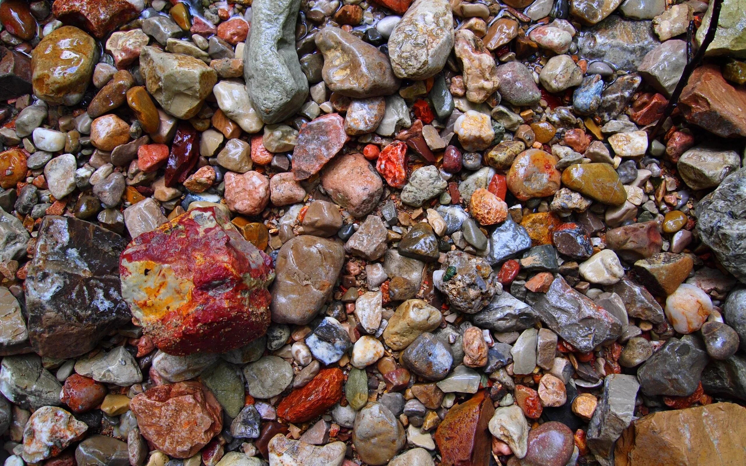 Wet stone. Галька в природе. Красивые камушки. Разноцветные камни. Разноцветные камушки.