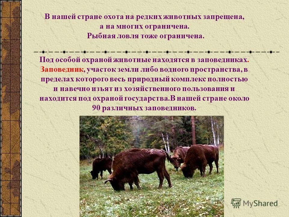 название мест где животные находятся под особой охраной. лесная охрана. природные объекты, находящиеся под особой охраной. белгородский заповедник. заповедник белогорье в белгородской области.