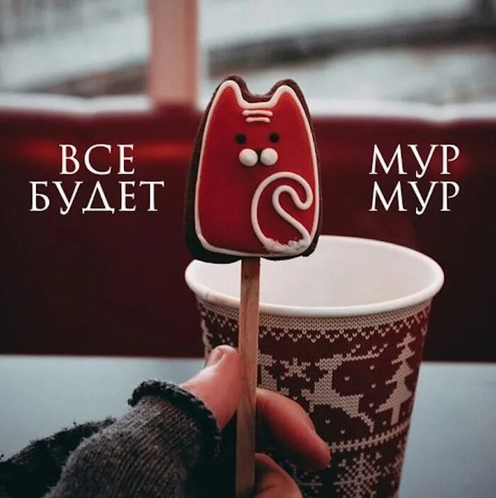 Доброе утро мур. Мур утро. Доброе утречко мяу. Пушистый котик. Доброе утро мур мур мур.