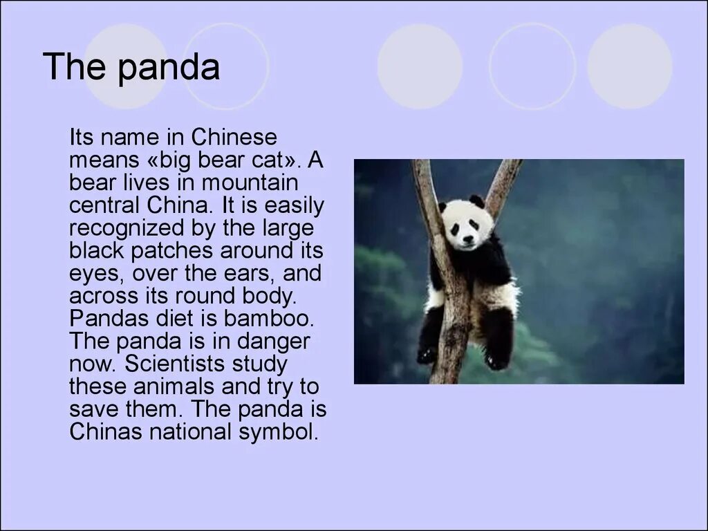 Text pand
