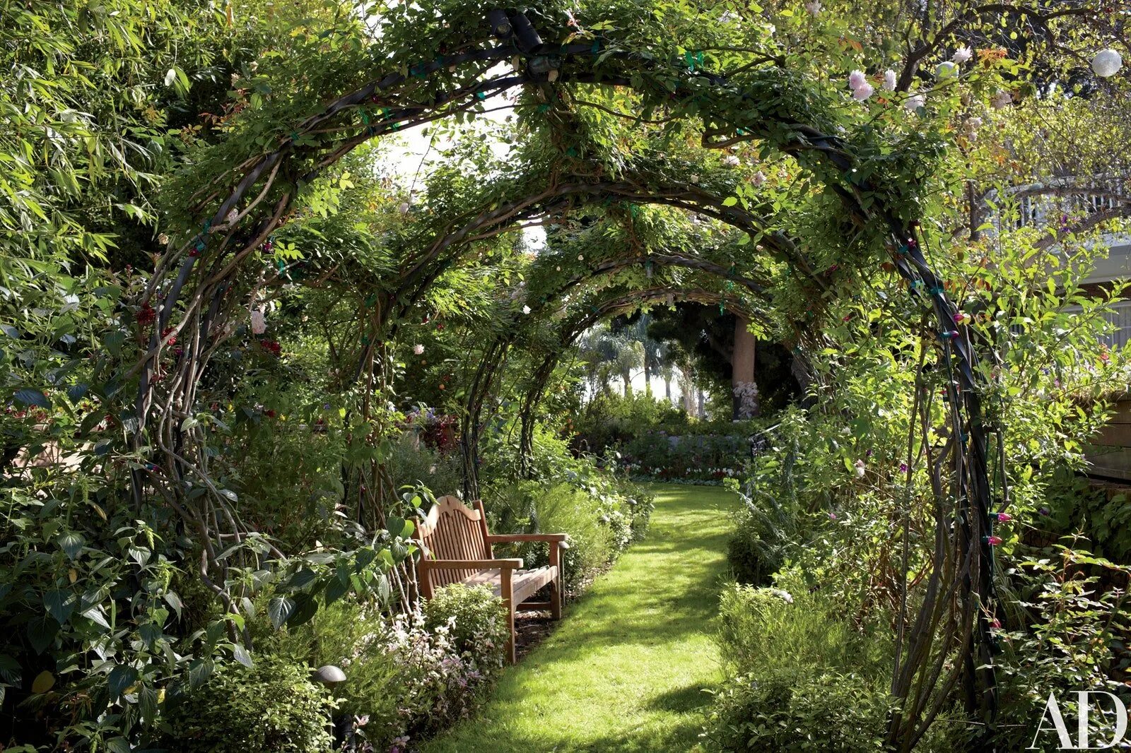 Заросший сад. Флористика райский сад,сады семирамиды. Эдемский сад ландшафт. Красивые уголки природы. Дикий райский сад.