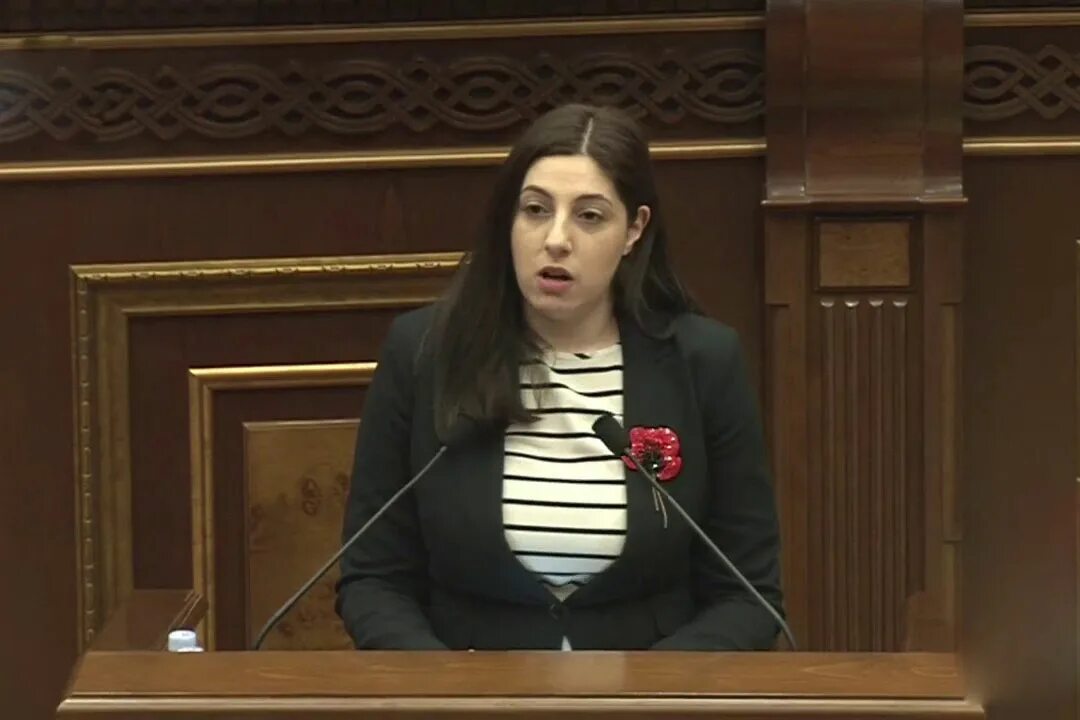Арм тик. Рипсиме Григорян. Рипсиме Григорян депутат. Армения парламентарий женщина. Сона Казарян депутат Армении.