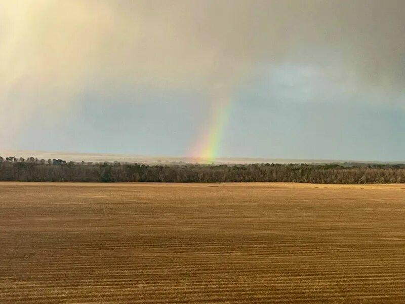 на ковре вертолёте мимо радуги. мимо радуги мы летим. агата кристи на ковре самолете. художник сюрреалист станислав плутенко. картины станислава плутенко.
