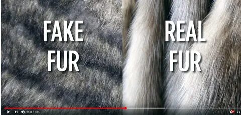 Fur's перевод