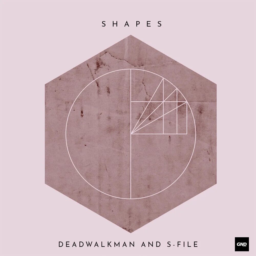 Shape file. Cbum 2025 shape. l shape file. square shape aesthetics.