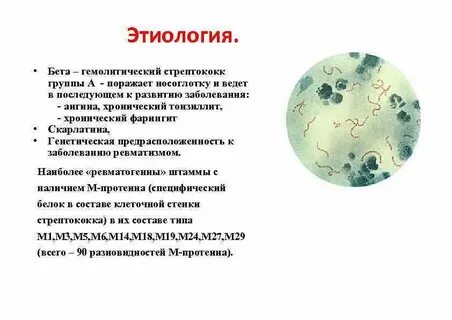 Бета гемолитический стрептококк группы b