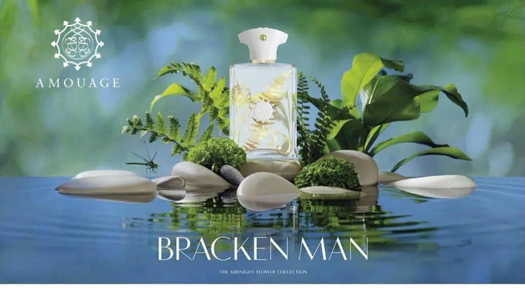 Что такое фужерный аромат в парфюмерии. Amouage bracken man. amouage perfume. папоротниковые ароматы. фон фужерные ароматы.