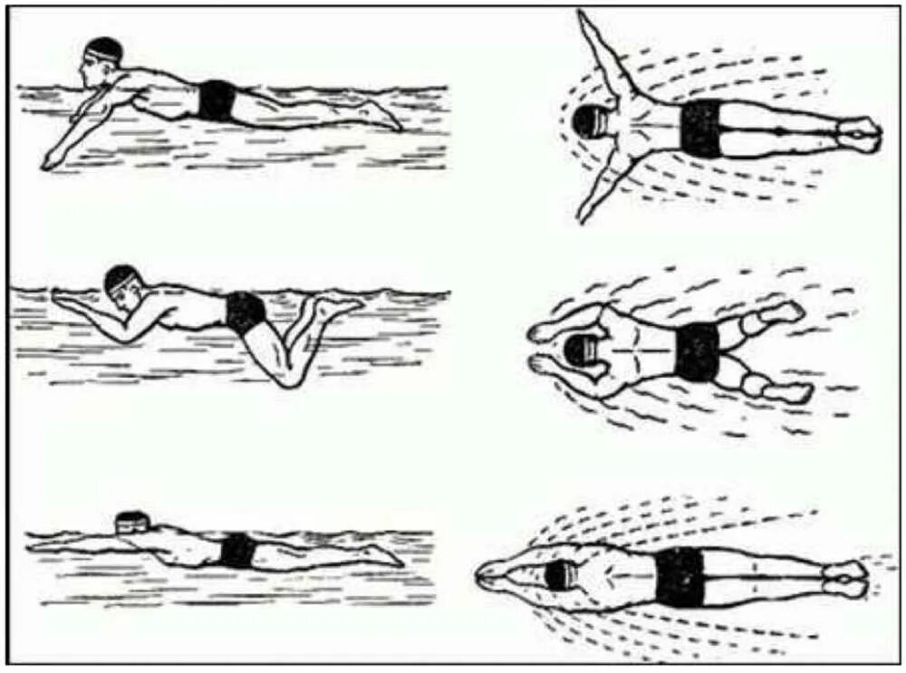 Как человек научился плавать по воде. Кроль брасс Баттерфляй. Стиль плавания брасс техника. Плавание брасс Баттерфляй. Стиль плавания Кроль брасс.