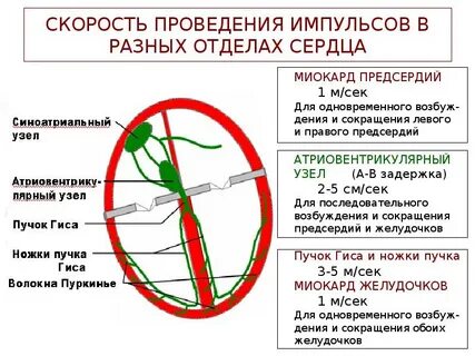 Скорость 23 узла