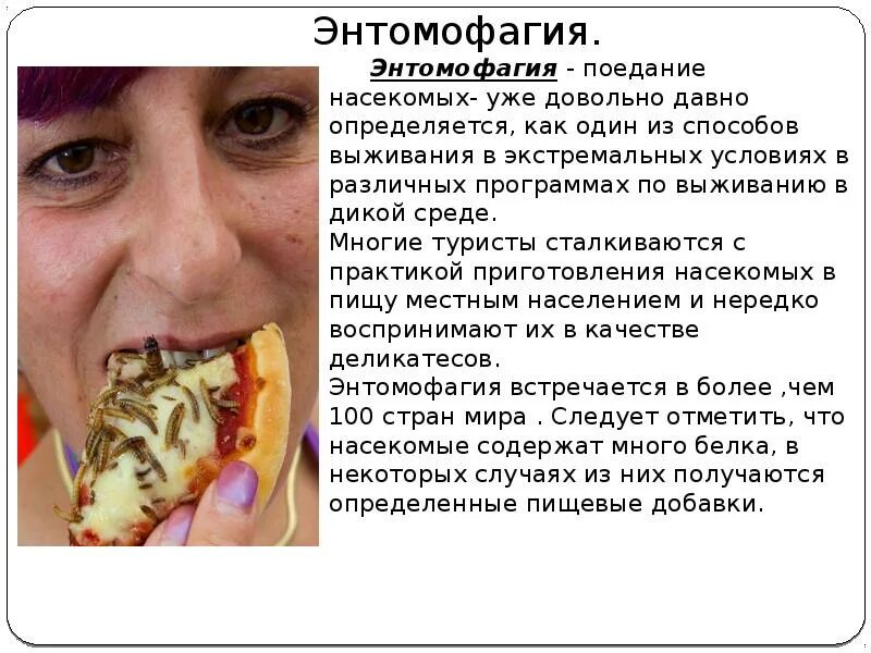 Китайские блюда из насекомых. Энтомофагия. Съедобные жуки. Энтомофагия. Жареные насекомые в китае.