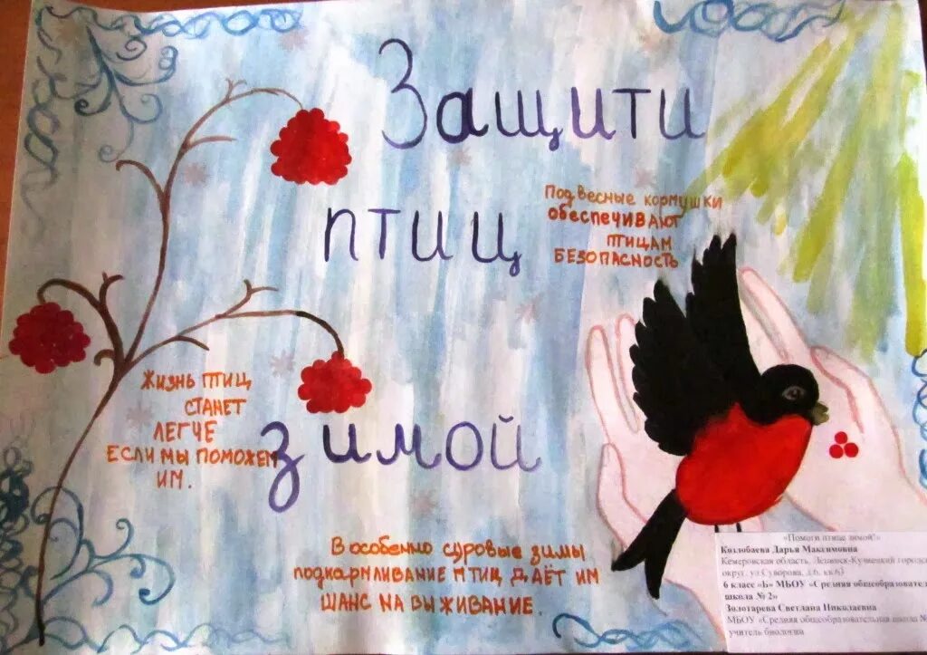 Плакат в защиту птиц. Зимующие птицы. Встречаем пернатых друзей листовка. Птицы листовки. Птицы листовки.