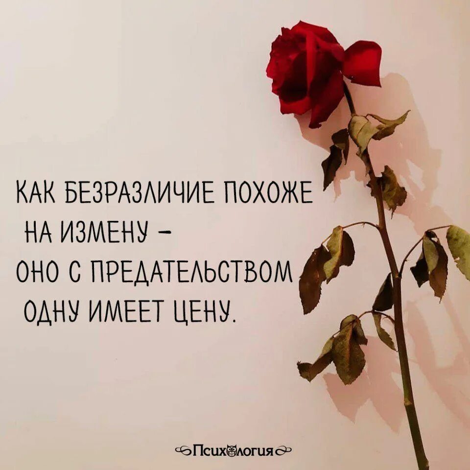 Цитаты про безразличие. Безразличие цитаты. стихи про равнодушие. равнодушие цитаты. высказывания о равнодушии.