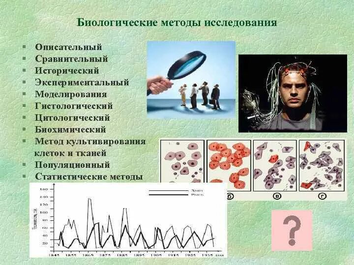 Методы биологии. Методы биологических исследований. Методы биологических исследований методы. Методы исследования в биологии.