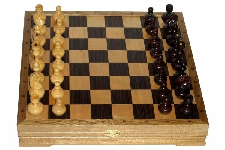 Шахматы 20х20. Шахматы и шашки. Шахматный набор. Набор "шахматы и шашки".