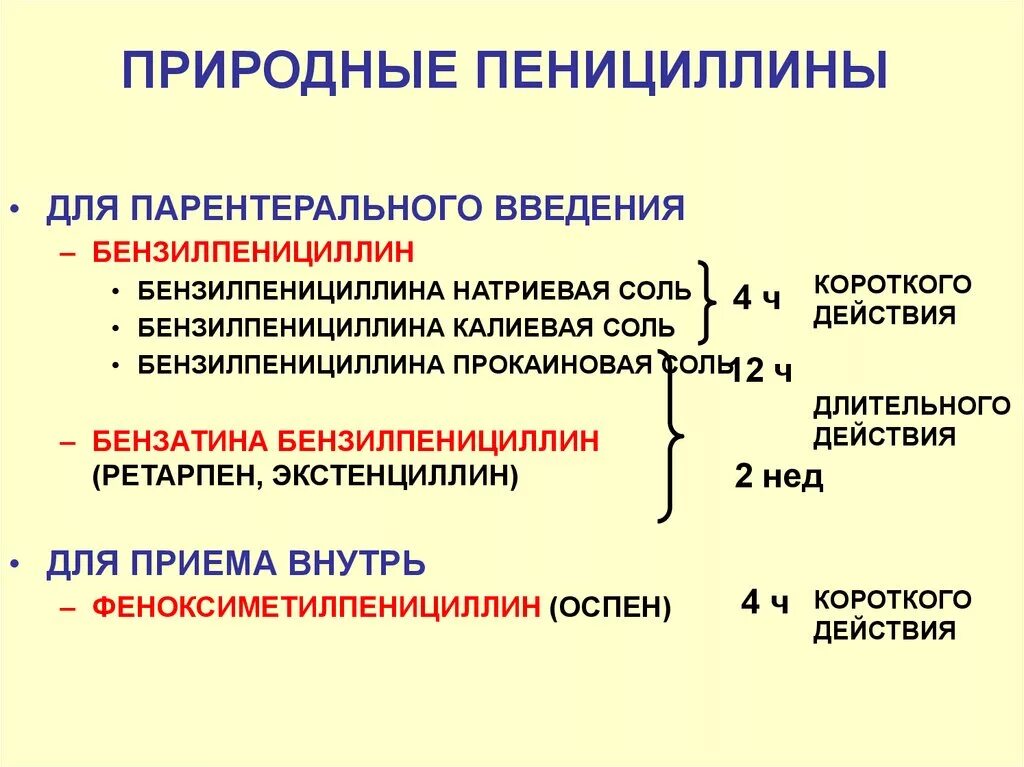 Механизм пенициллинов