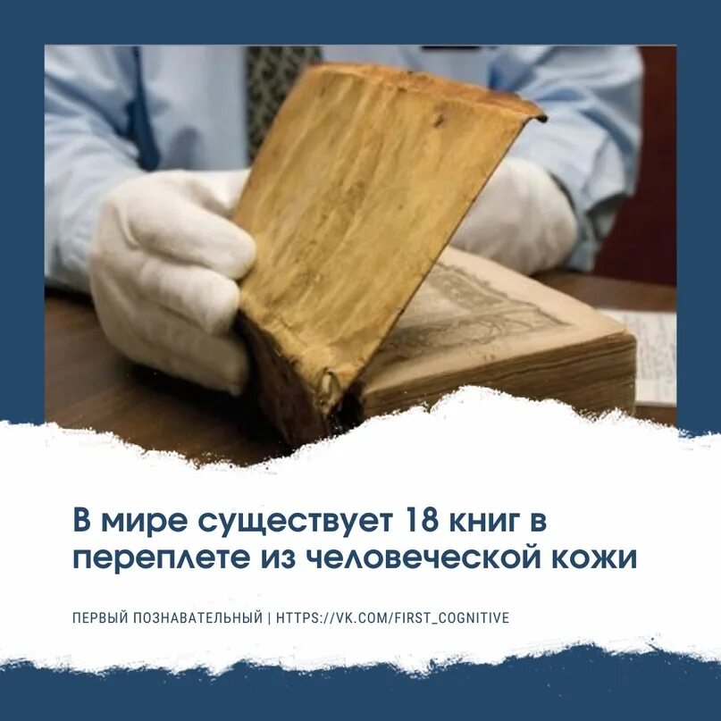 Человек попавший в переплет 7 букв. Книга из человеческой кожи. переплет из человеческой кожи. книги из человеческой кожи в гарвардском университете. книги в гарварде из человеческой кожи.