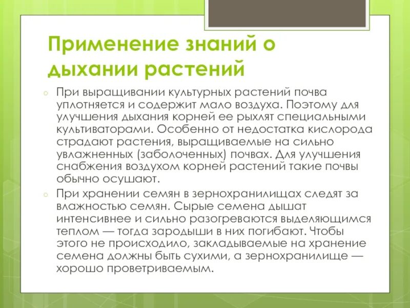 Какое значение дыхания в жизни растений. Улучшения дыхания растений. как улучшить дыхание растений. интересные факты о дыхании растений. корни растений дышат.