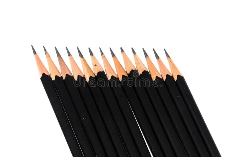 Black pencil sushi. Блэк пэнсил. Роллы карандашом. Black pencil sushi. Роллы рисунок.