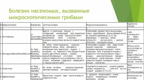 Инфекции вызываемые грибами