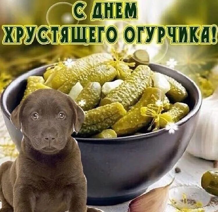 Глупые праздники