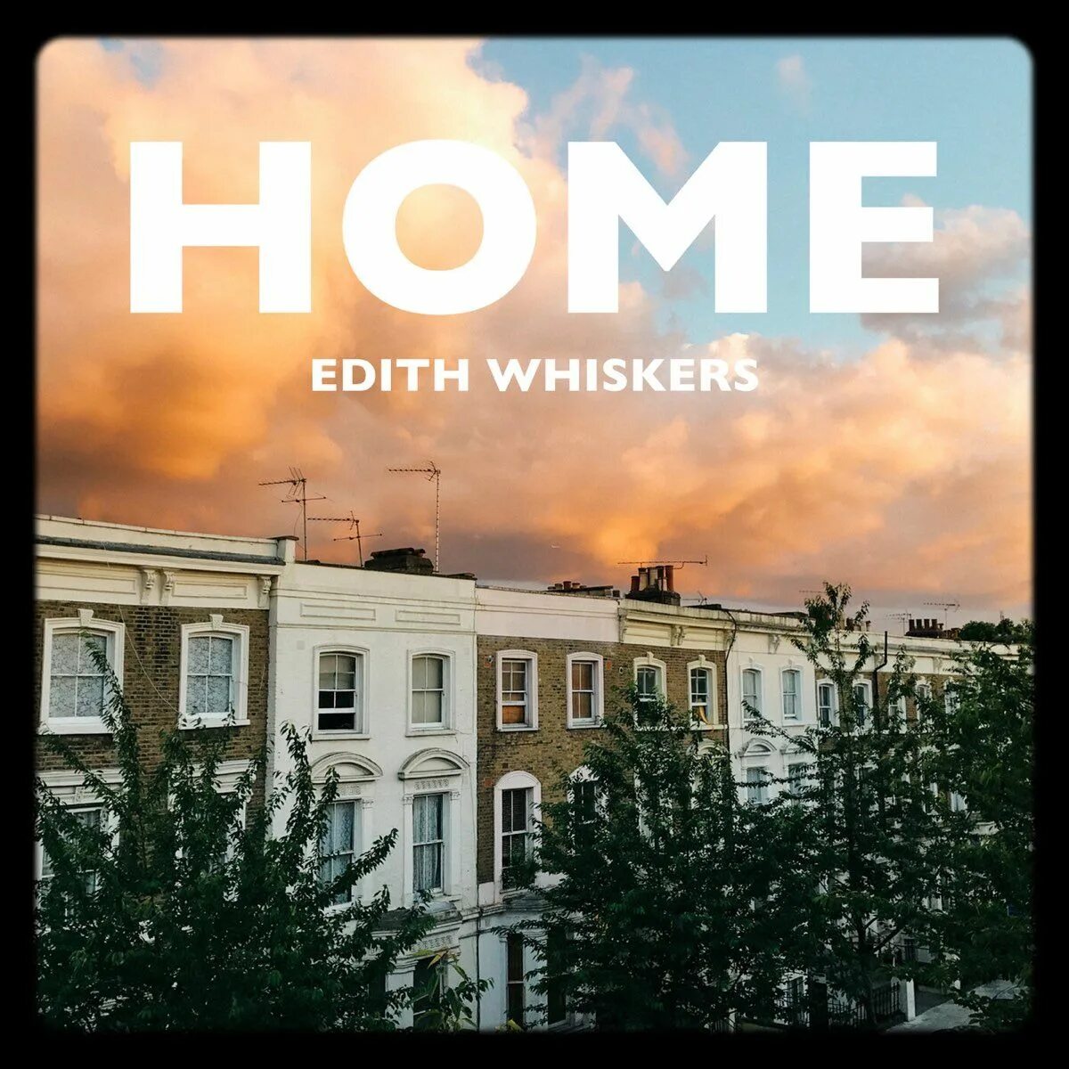 Песня home edith перевод. Home Edith Whiskers. Home Edith Whiskers обложка. Edit Whiskers.