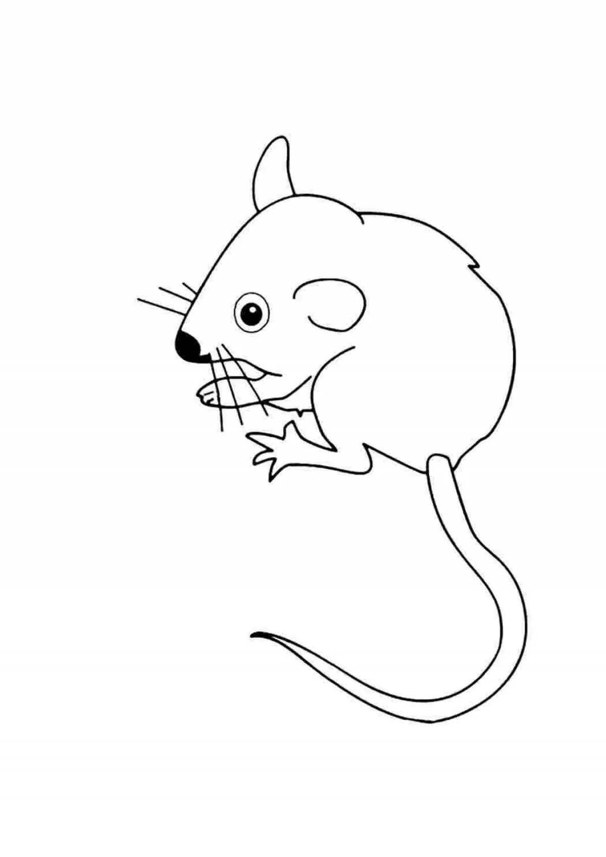 Раскраска мышка. Мышь раскраска для детей. Мышка раскраска для детей. Мышь раскраска для малышей. Раскраска мышь распечатать