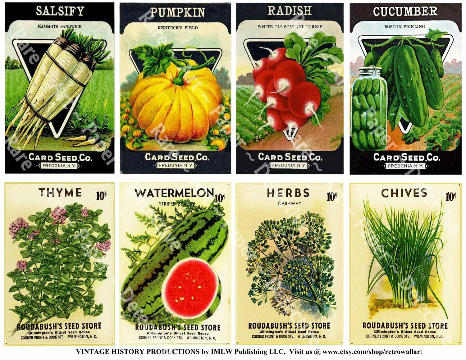 Семена этикетки. Seed Label. Змея 2 all Seed Packets Plants. Vegetable Seeds. Korean Seeds of Vegetables.