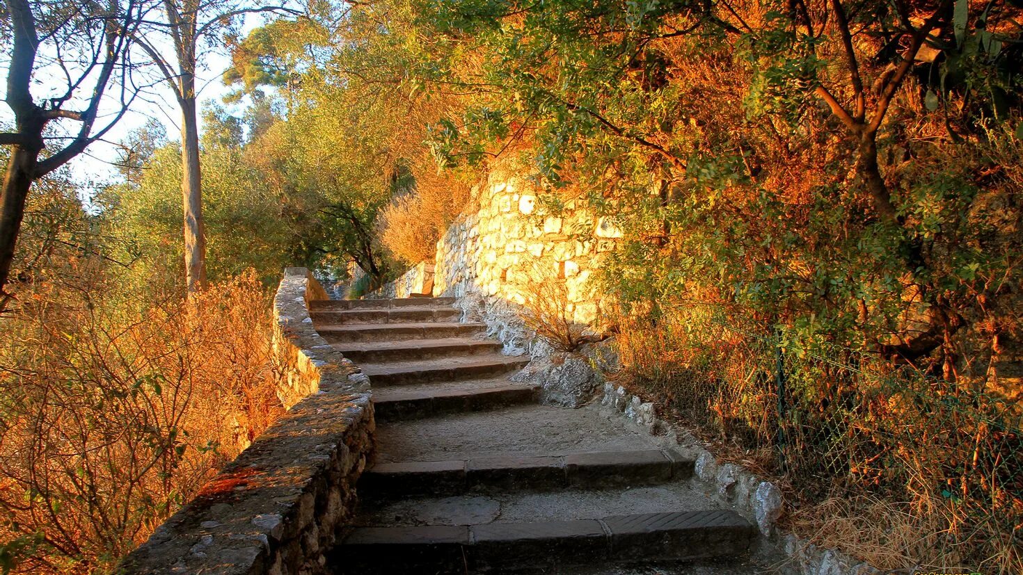 Сходи сейчас. Осень лестница. Лестница природа. Лестница в парке. Лестница вверх.