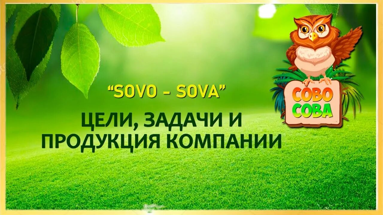 Сово сова сайт продукция. Сово сова компания. компания сова-сова продукция. маркетинг план сова сова.