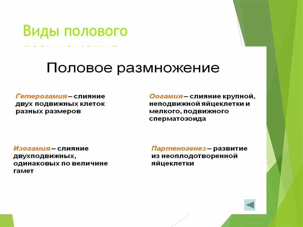 Виды полового размножения. Формы полового размножения с примерами. Половое размножение типы и примеры.