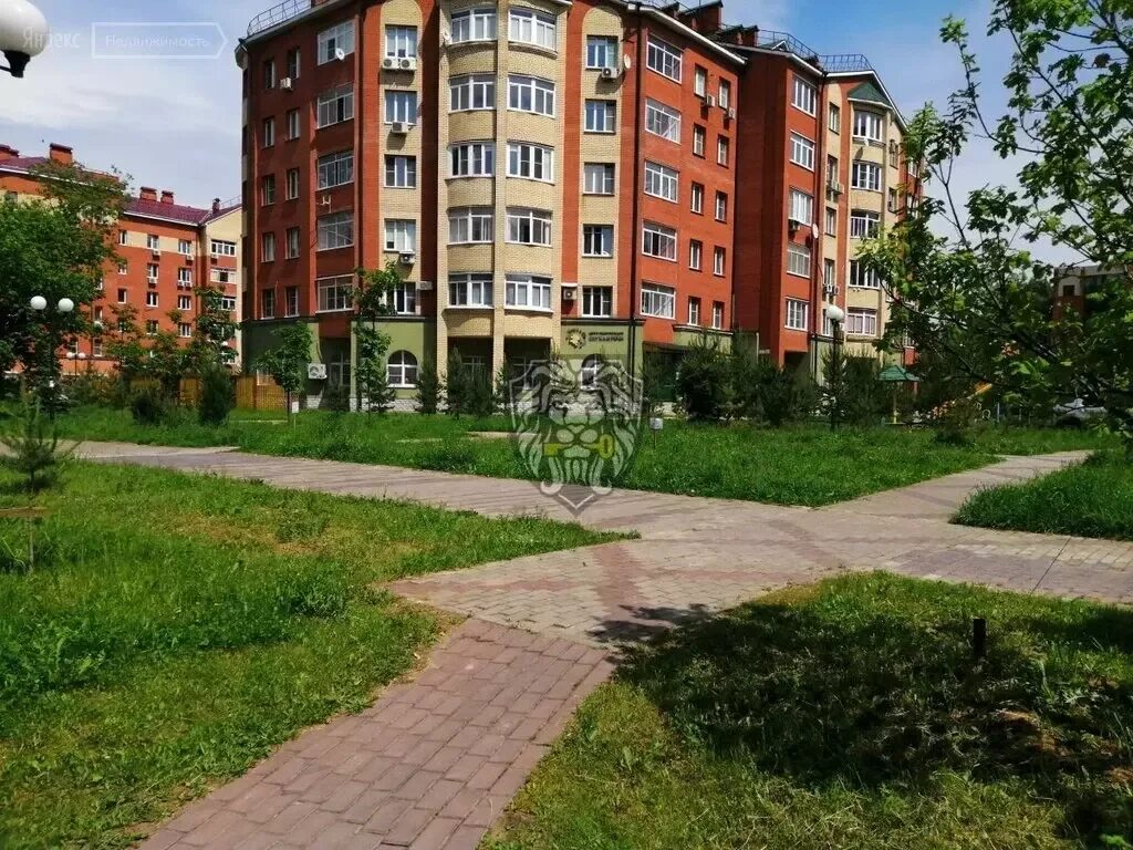 Фрязино лесная 1. Фрязино лесная 2. Фрязино лесная 5. Фрязино, ул. Улица лесная фрязино.