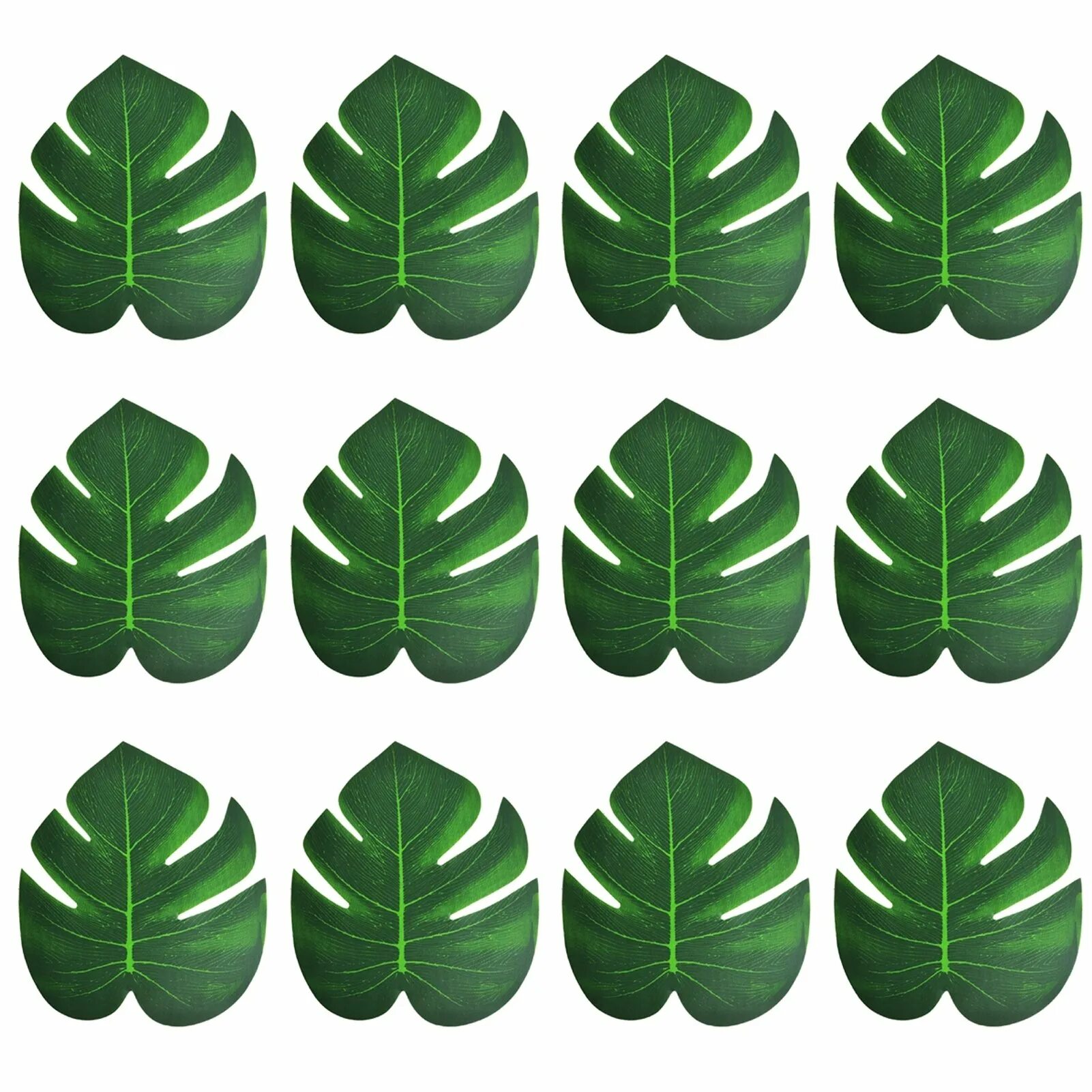 Тропические листья. Тропический листок. Экзотические листья. Форма листьев пальмы. Листья пальмы срезка.