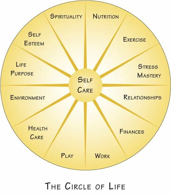 "The circle of Life" - круг жизни.. Круг жизни текст. Work Life Balance circle. The Wheel of Life Balance in Coaching. Читать рассказ круг