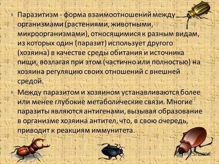 Паразитизм вид взаимоотношений