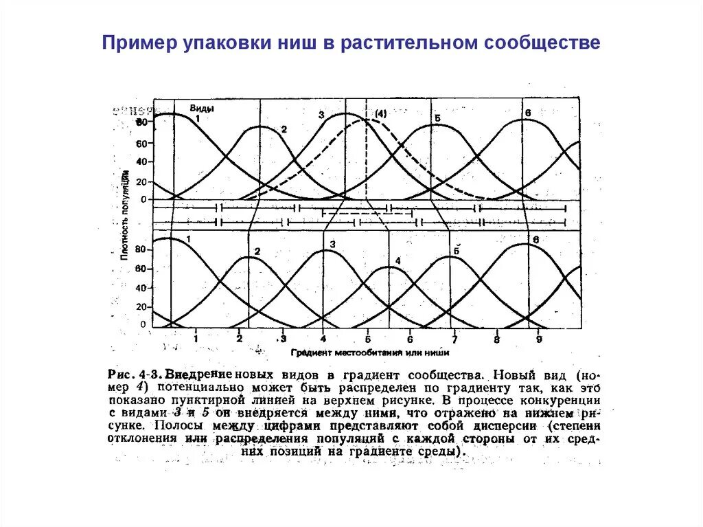 Экологическая ниша перекрывание. Перекрывание экологических ниш примеры. Экологическая ниша график. Двухмерная экологическая ниша. Потенциальная ниша