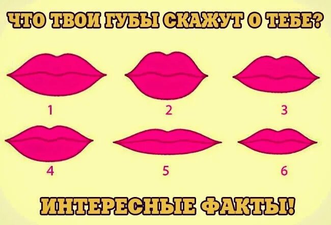 Твои губы фф. Картинки губ. формы губ. разные формы губ. губы по форме.