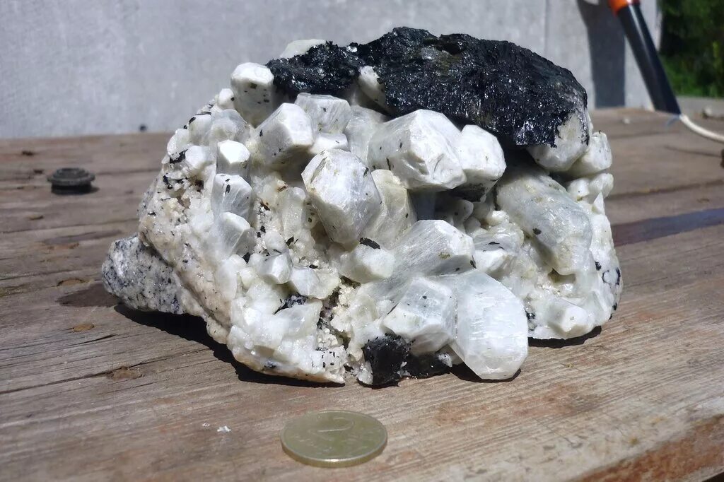 уральские хитники. хитник. хита урала. циркон в биотите. хита урала.