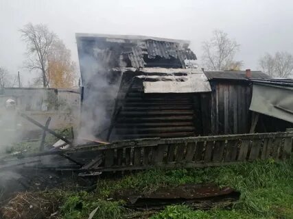 Синьковка харьковская область последние новости