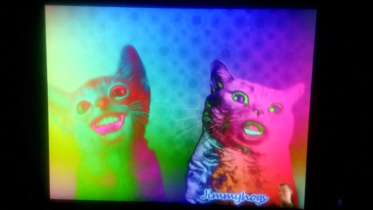Preview 2 numa cat effects. Numa cat) in dma. preview 2 numa cat effects (preview 2 effects) in m major (split version). too many preview 2 numa numa cats.