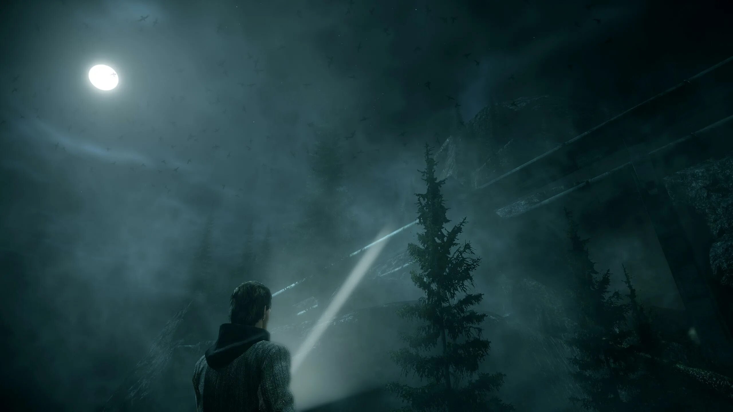 Alan wake 2 deluxe edition. Алан вейк. alan wake маяк. роуз алан вейк. алан вейк ассасин крид.