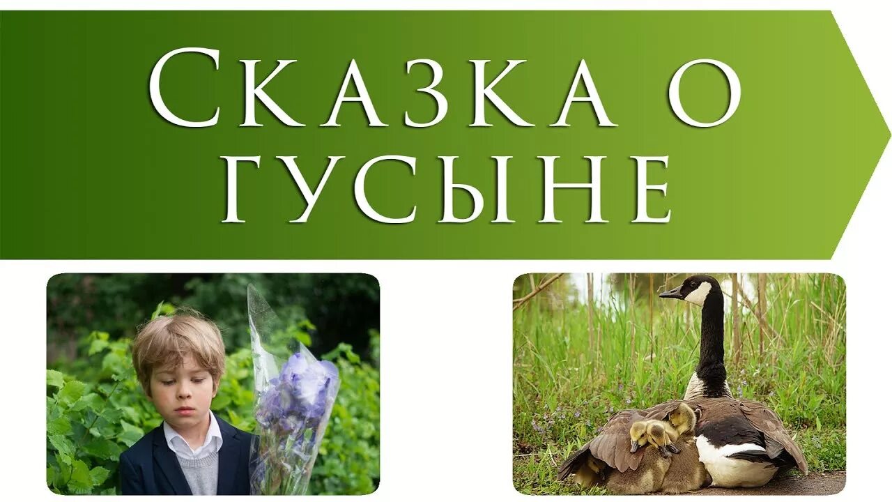 Сухомлинский сказка о гусыне. Сказка о гусыне Сухомлинского. Сказка в. Сухомлинского «Крылья матери». Сухомлинский Крылья матери.